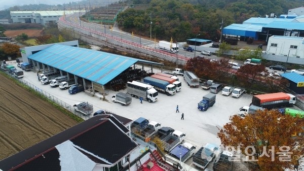 진주시, 가축경매시장 임시휴장 결정