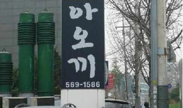 아오끼 대표 사진