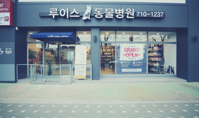 인천 만수동 루이스동물병원에서 개귀 염증 및 습진 치료와 처방 비용 등을 알려드립니다. 인천 만수동 루이스동물병원에서 개귀 염증 및 습진 치료와 처방 비용 등을 알려드립니다.