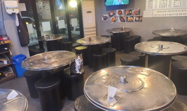 서민국수 잠실본점 대표 사진