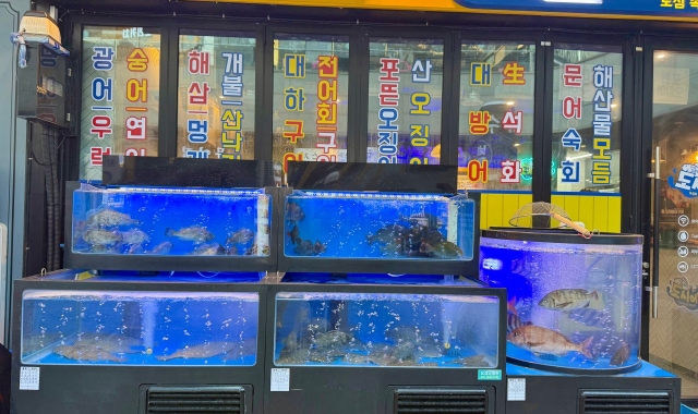 낚시꾼김춘복의도시어부 판교점 대표 사진