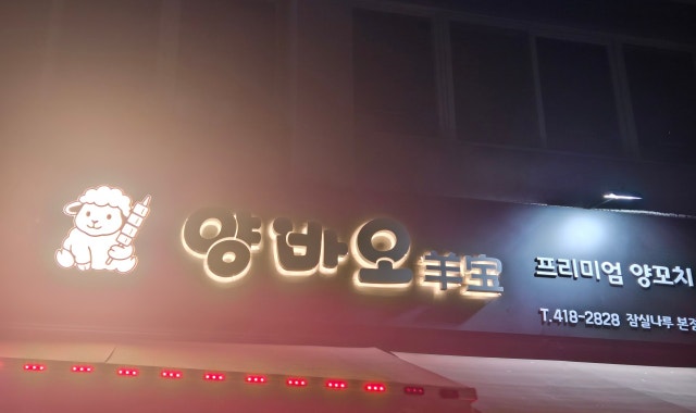 양바오 대표 사진