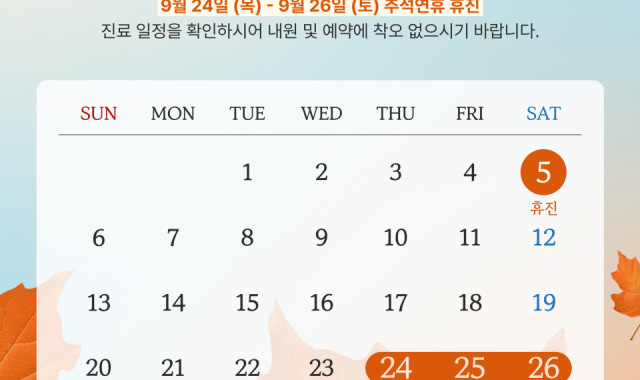 Human Dermatology Clinic (Seoul National University)