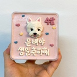 [성남 분당 판교 강아지 수제간식]‘멍멍이얌’ 강아지 맞춤 케이크 고양이 케이크 커스텀케이크 주문하기
