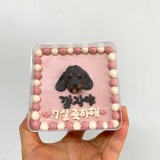 [성남 분당 판교 수제간식] 강아지 생일 케이크 고양이 생일 케이크 커스텀케이크 ‘멍멍이얌’