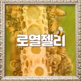 [강남역 헬스장] 꿀벌이 주는 건 꿀밖에 없을까? 3가지 양봉산물을 더 알아보자!