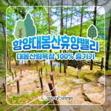 함양대봉산휴양밸리 대봉산림욕장 100% 즐기기!