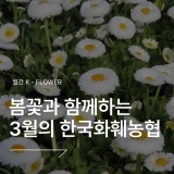 [3월] 봄꽃과 함께하는 한국화훼농협