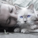 파주 고양이사후처리 고양이장례 고양이수목장 고양이화장