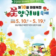 하동 북천 꽃양귀비 축제