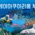 [5월] 부천 아쿠아리움+동물원+파충류관+생태 도슨트