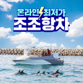 [온라인최저가] 하모 돌고래투어 조조항차