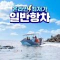 [온라인최저가] 하모 돌고래투어 일반항차