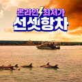 [찬바람특가] 하모 돌고래투어 선셋항차