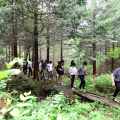 편백나무 숲길 산책+향낭 만들기 체험(최소인원 20인)