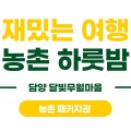 농촌여행 l 대통밥만들기+숙박 전남 담양 달빛무월마을
