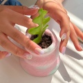 나만의 화분&반려식물 만들기 : 힙팟 클래스 