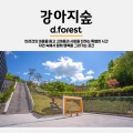 [가을시즌] 강아지숲 테마파크 주간/패키지 이용권