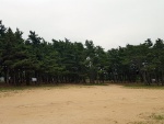 몽산포오션캠핑장