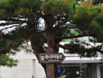 한국대나무박물관