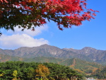 팔공산 도립공원