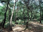 박달재자연휴양림
