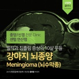 10살 푸들의 발작과 침흘림 증상 <강아지 뇌종양> Meningioma (뇌수막종) (부산 센텀동물메디컬센터 연산점)