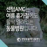 2022년 여름 휴가철에도 센텀동물메디컬센터는 활짝! (부산 경남 365일 연중무휴 동물병원)