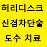 허리 디스크 신경차단술  인천 송도 연수구 연수동 논현동 동춘동