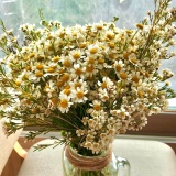 사당역연습실 | 꽃같은 도레와 함께하는 향기로운 봄에 어울리는 추천곡💐