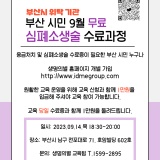 [마감]2023년 9월 부산 시민 응급처치 및 심폐소생술 수료증 취득과정