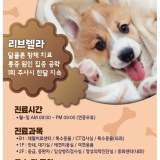 의정부동물병원/펫인쥬동물메디컬센터/리브렐라