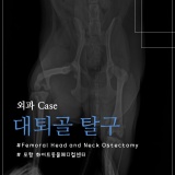 강아지 파행 / 고관절탈구 / 대퇴골두(FHNO) 수술