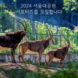 2024 서울대공원을 빚내줄 서포터즈를 모집합니다!