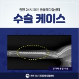천안강아지골절수술   천안24시스카이동물메디컬센터