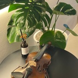 [뮤라벨 천호역점] 취미로 바이올린을 배우고 싶다면?(천호 성인음악학원)