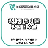 [광주 동물 병원] 강아지 이물 수술 / 장 이물/ 비타동물의료센터
