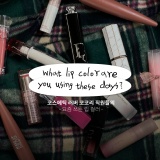 what lip color are you using these days? 컬러에 진심인 코코리 직원들이 요즘 쓰는 립스틱 컬러