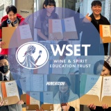WSET 입문 가이드 - 와인 초보자를 위한 첫 걸음