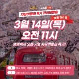 벚꽃 축제 오픈 기념 이월드 자유이용권 특가 라이브방송🚨 3월 14일(목) 오전 11시 with 네이버 쇼핑라이브