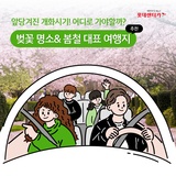 미리 준비하는 벚꽃명소&봄철 대표 여행지