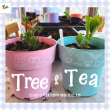 3월의 체험 프로그램_Tree&Tea(첫 번째 후기)