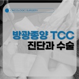 강아지 방광종양(TCC) 항암치료 및 수술 [강동구동물병원]