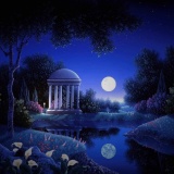 Jasmine and moonlight serenity