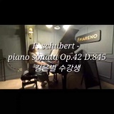 신림취미피아노학원 | Piano sonata Op.42 D.845 -F. Schubert