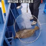 인천대광어 낚시로 봄날의 행복한 추억 만들기!