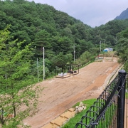 돈키호테라피 (정발산역) 매장 사진 7