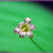 미스힐링 (정관) 매장 사진 9