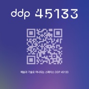 DDP 45133