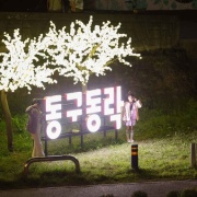대전 동구동락 축제